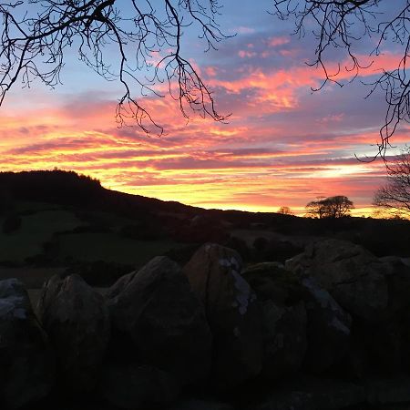 Raholp Slievemoyle Cottages المظهر الخارجي الصورة