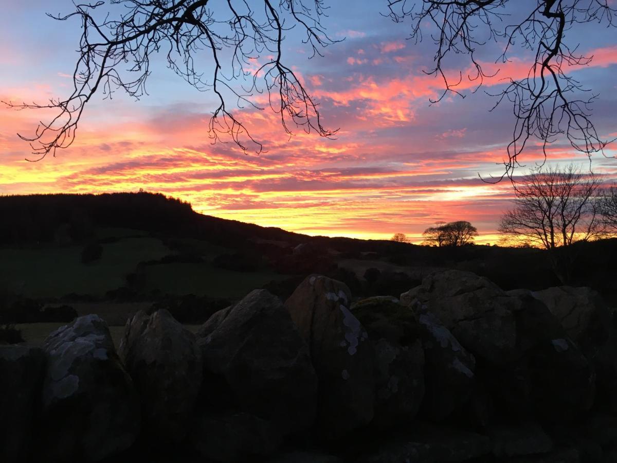 Raholp Slievemoyle Cottages المظهر الخارجي الصورة