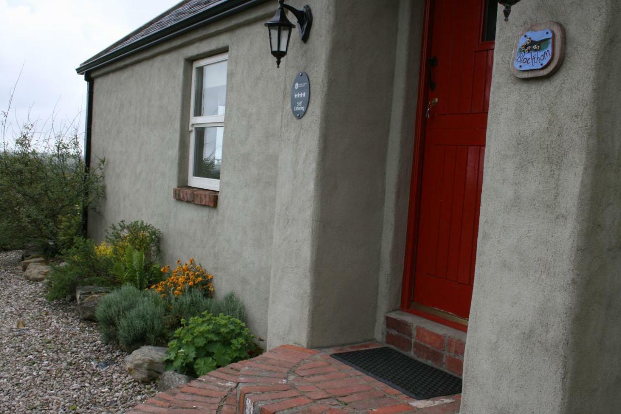 Raholp Slievemoyle Cottages المظهر الخارجي الصورة